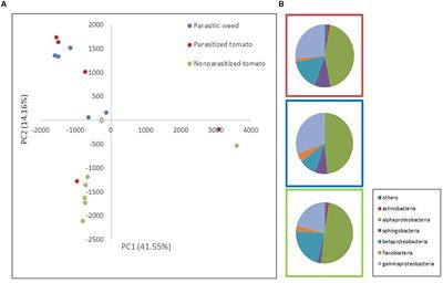 Host-Parasite-Bacteria Triangle: The Microbiome of the Parasitic Weed Phelipanche aegyptiaca and Tomato-Solanum lycopersicum (Mill.) as a Host